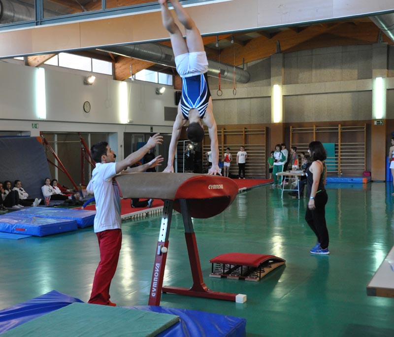 Primera Fase de los JDN de Artística Masculina